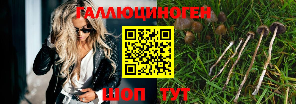 Сарапул  Псилоцибиновые грибы ЛСД  Вход с VPN  Галлюциногенные грибы мицелий 