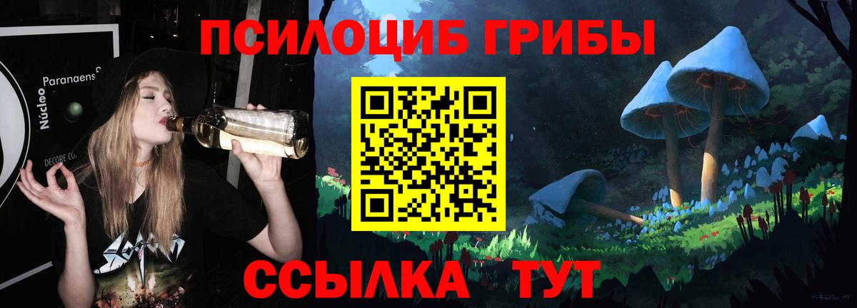 Псилоцибиновые грибы мицелий Сарапул
